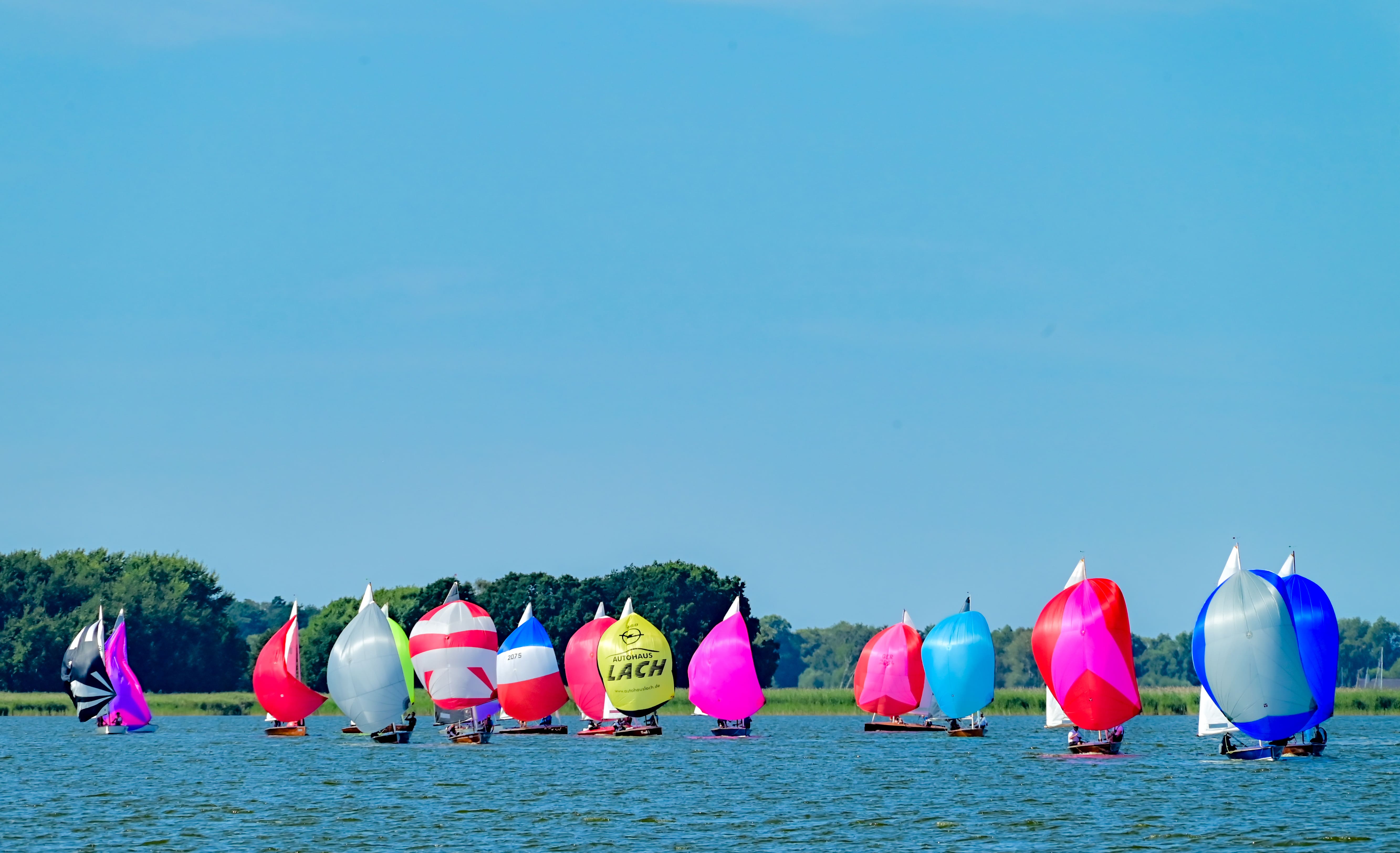 DSC_2221.jpg