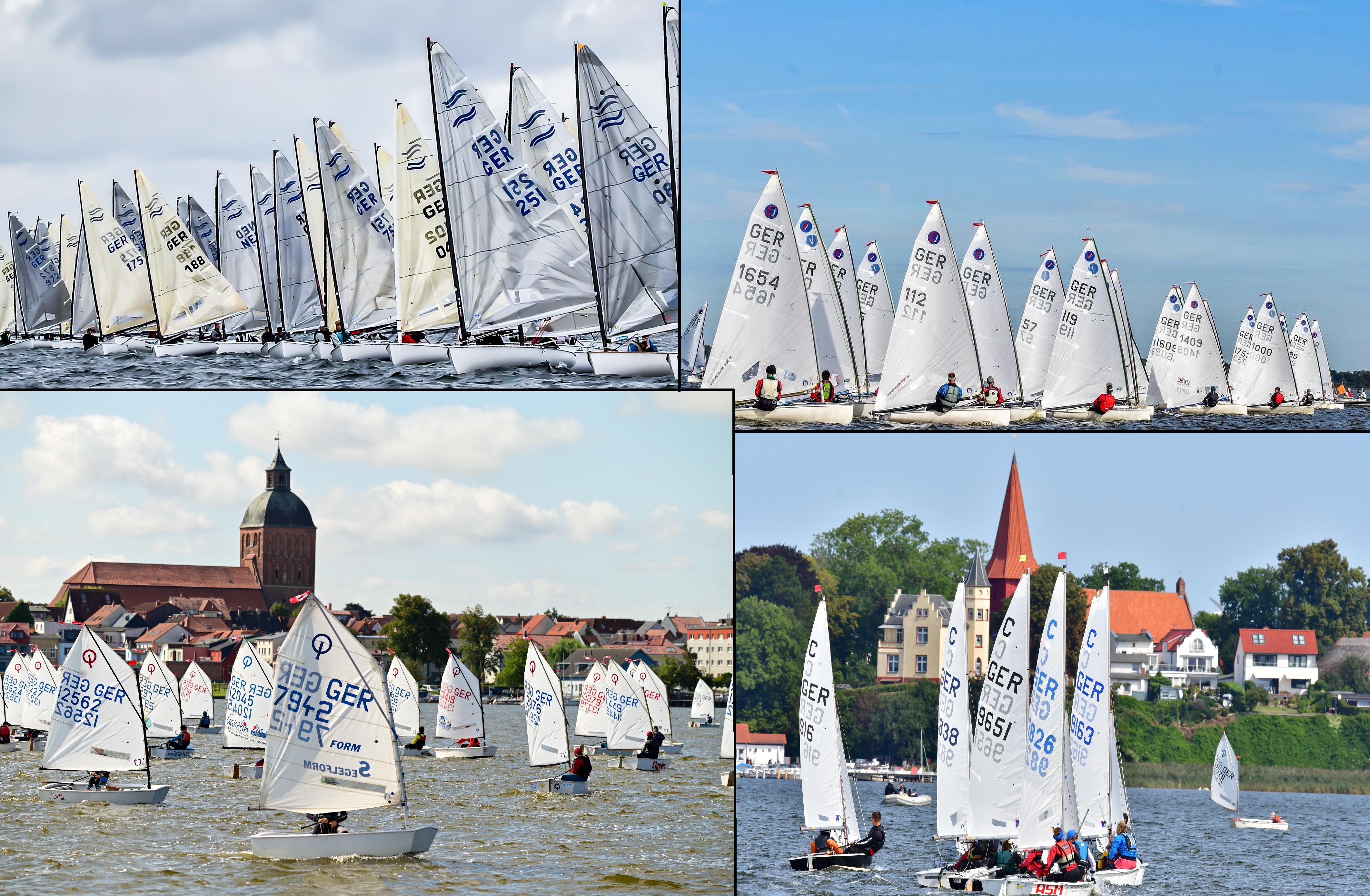 Regatta