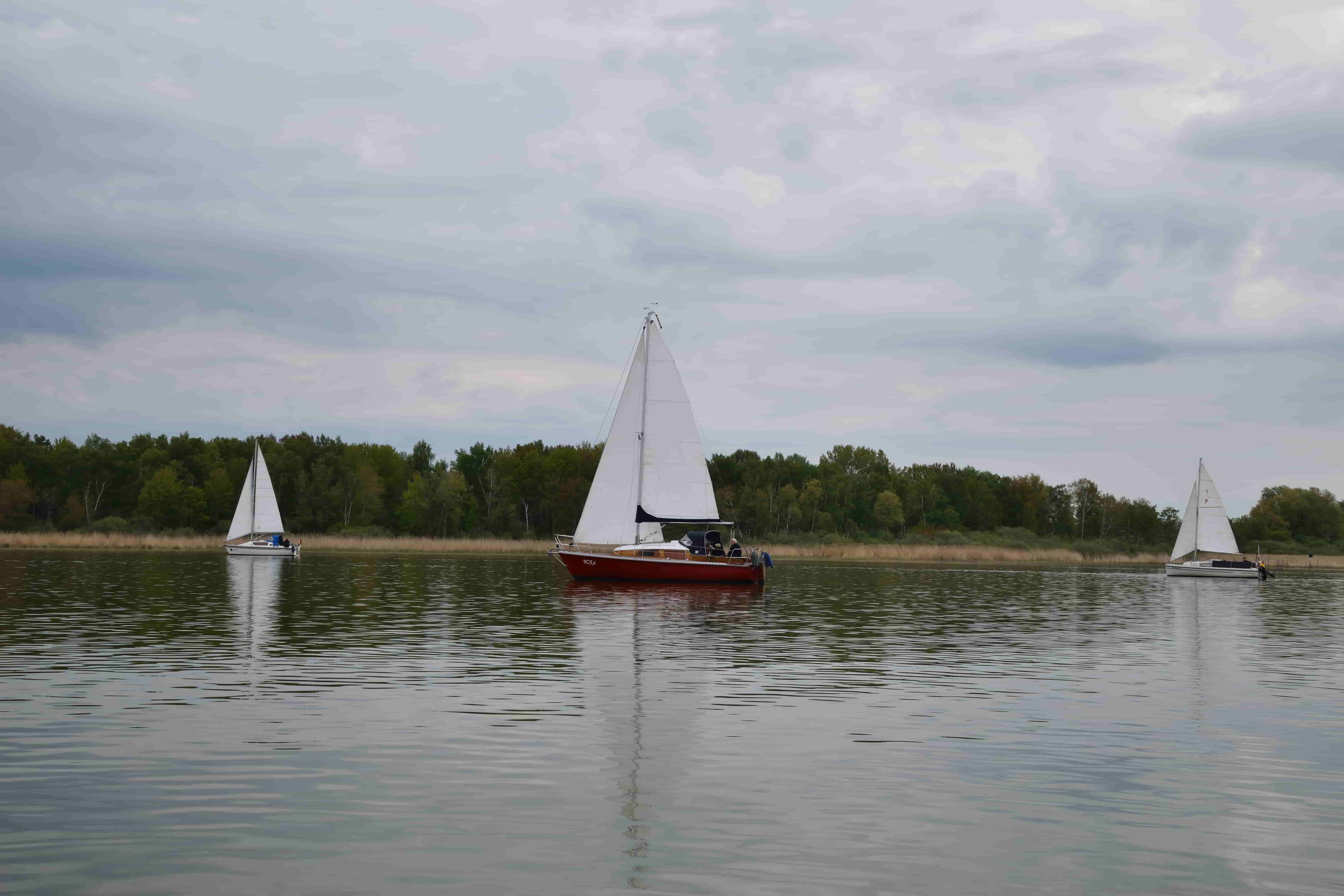 2026_SCR_Ansegeln_036_1.jpg